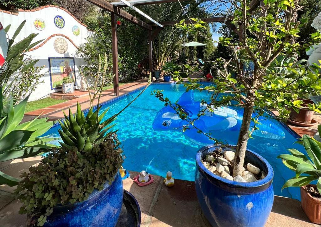 Mijas Pueblo Paradise Villa Málaga Eksteriør bilde